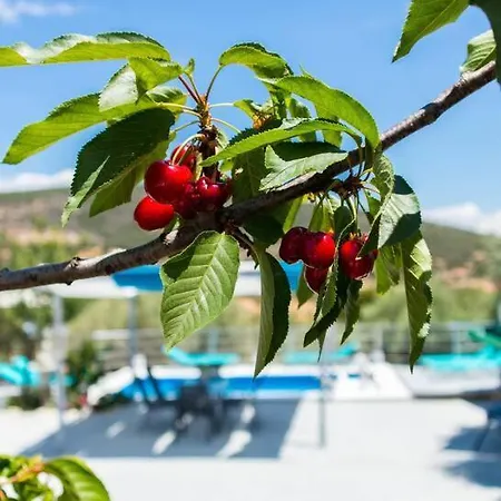 Artemis Holiday home Fregkena